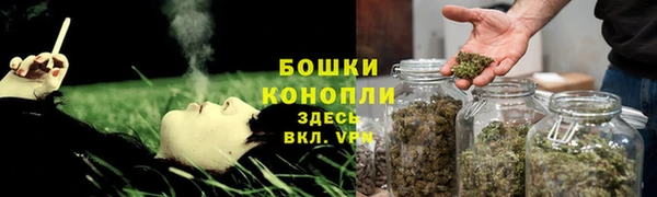 мяу мяу кристалл Дмитров