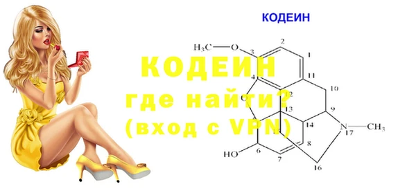 apvp Дмитриев