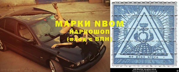 apvp Дмитриев
