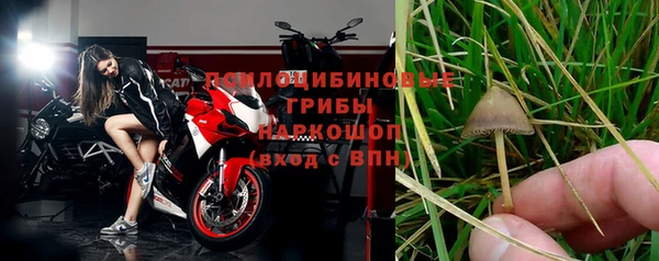 мяу мяу кристалл Дмитров